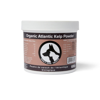 Organic Atlantic Kelp Powder