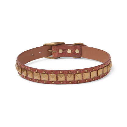 Pancho 19" Dog Collars