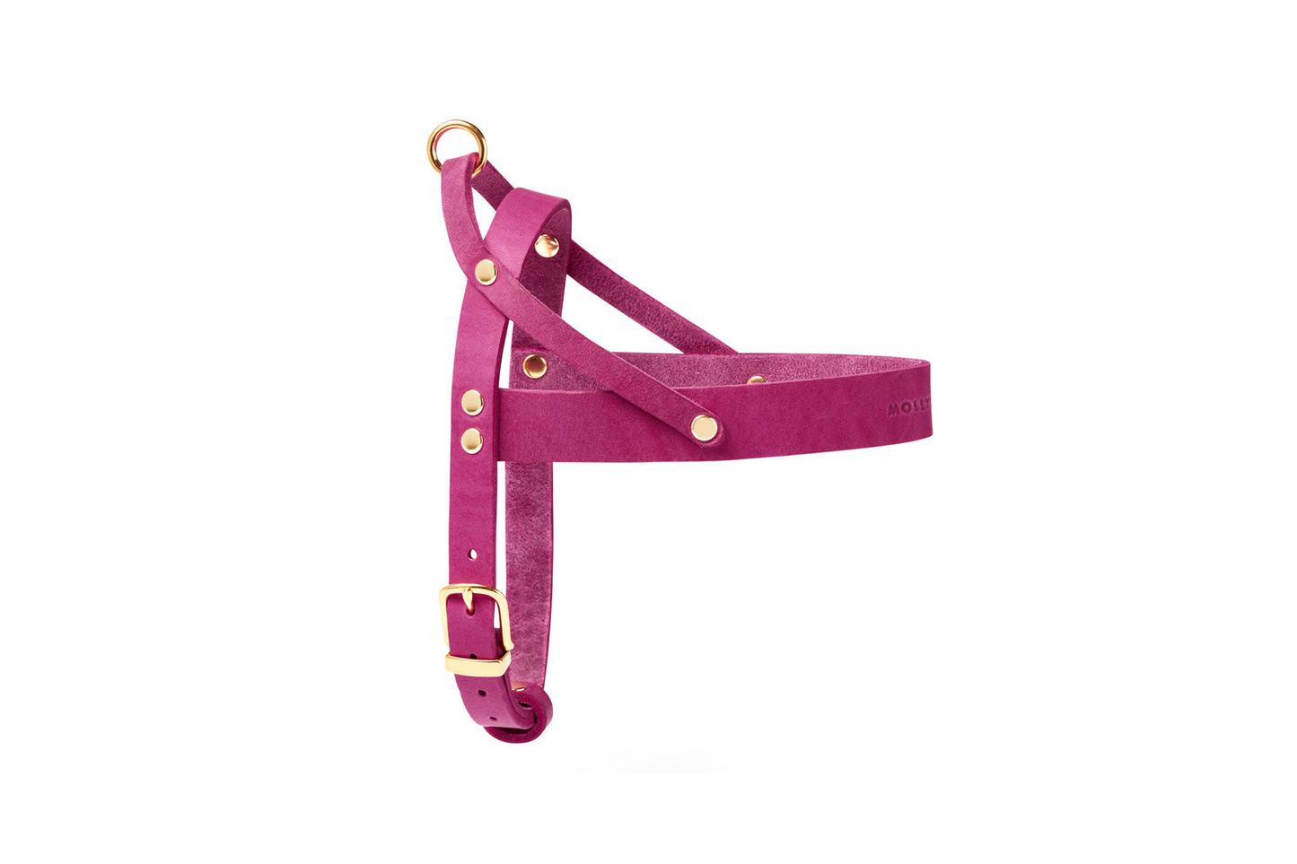 Butter Leather Dog Harness