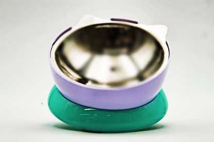 Elevated  Angled Stainless Steel Pet Bowl