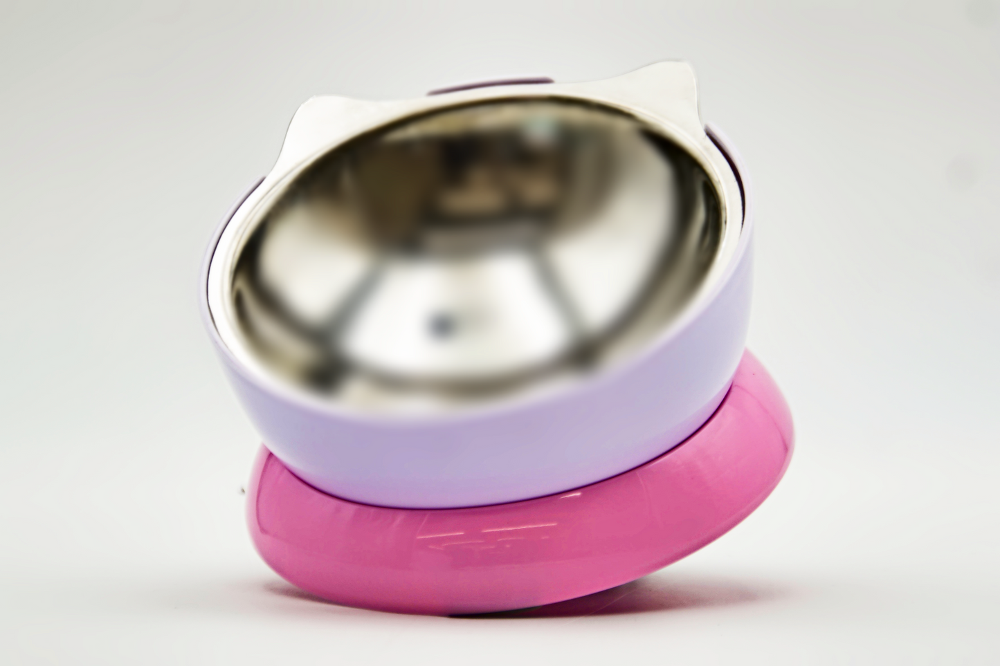 Elevated  Angled Stainless Steel Pet Bowl