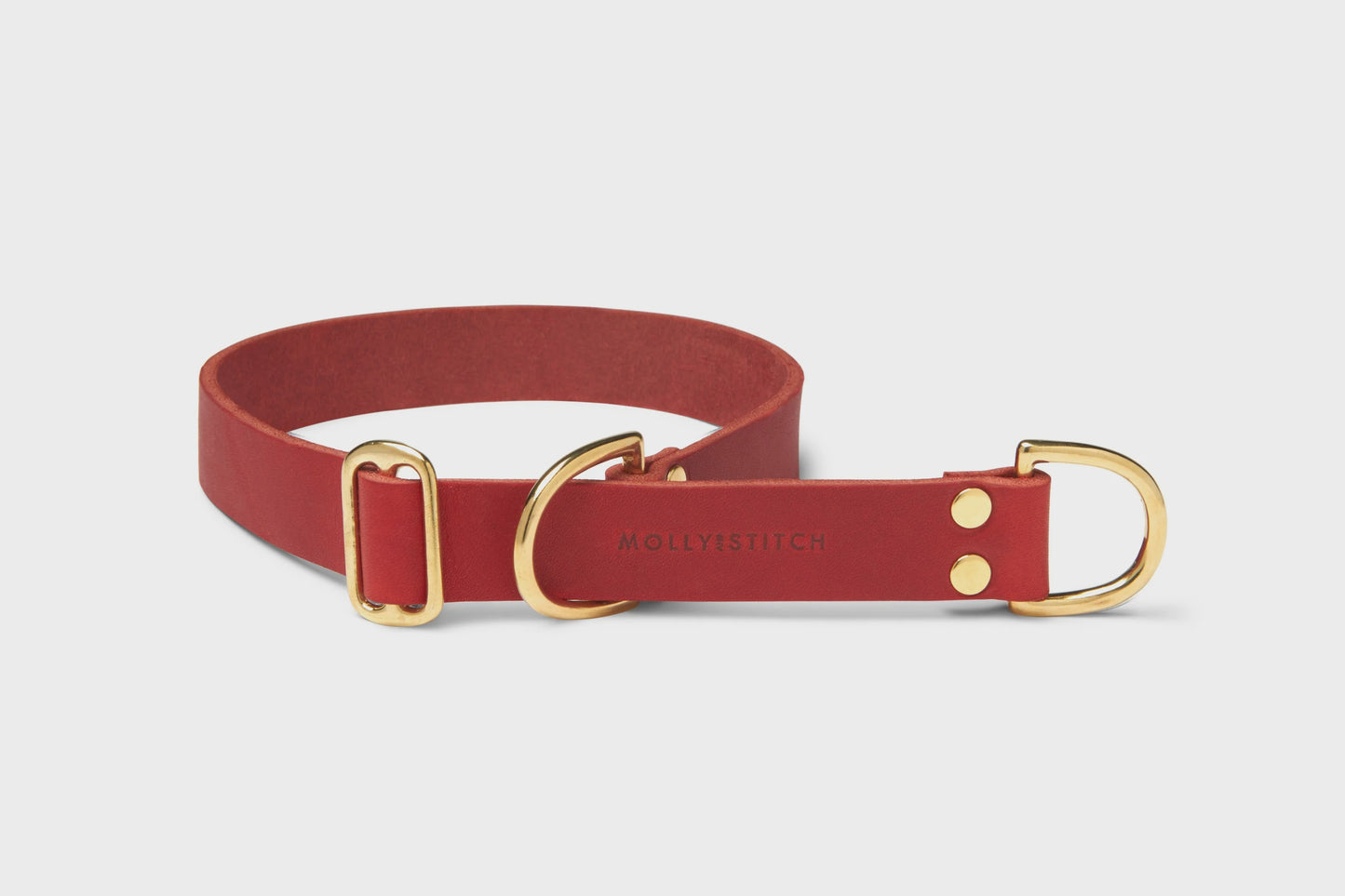 Butter Leather Retriever Dog Collar