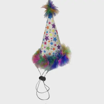 Party Hat