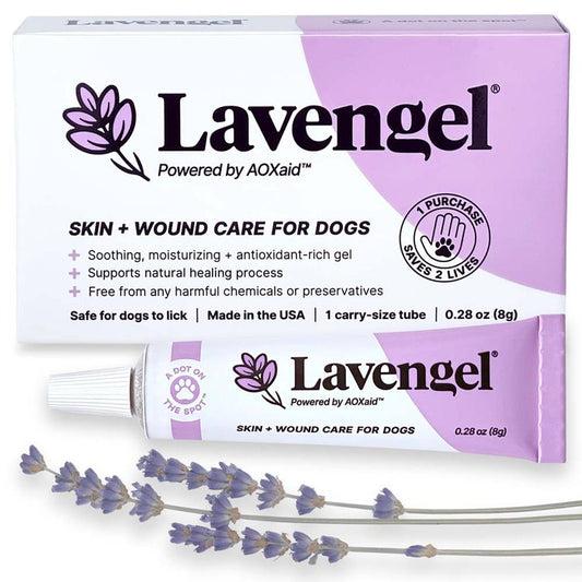 Lavengel