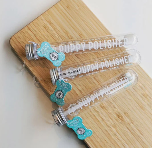 Toothbrush